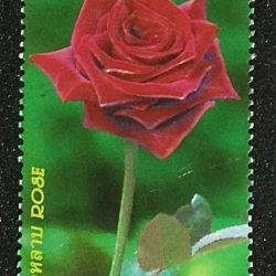 Thai Stamp Flower - 6