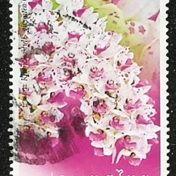 Thai Stamp Flower - 2