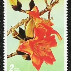 Thai Stamp Flower - 5