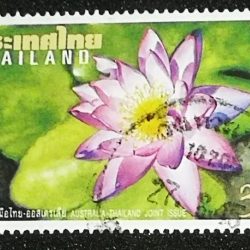 Thai Stamp Flower - 4