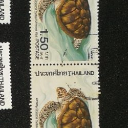 Thai Stamp Turtle - 1