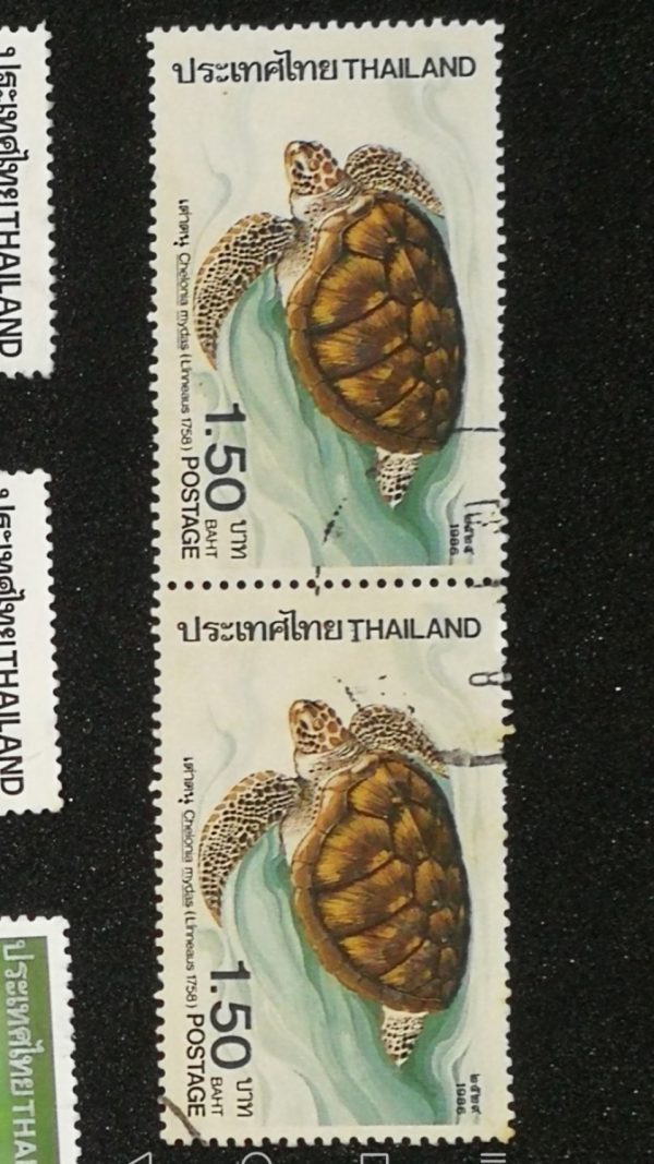 Thai Stamp Turtle - 1