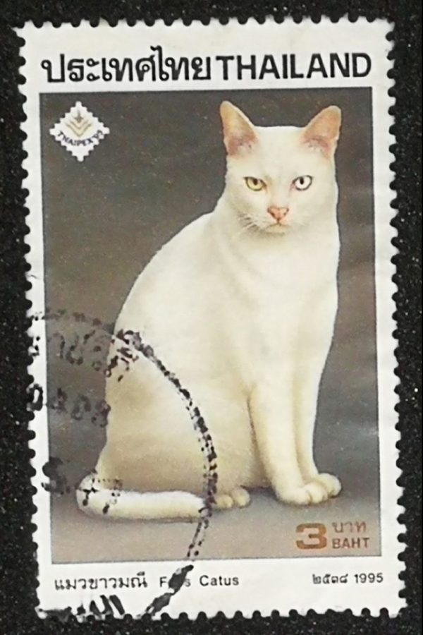 Thai Stamp Cat - 1