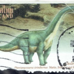 Phuwiangosaurus 2