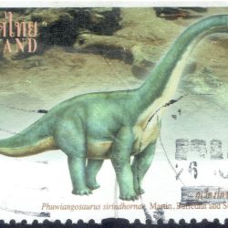 Phuwiangosaurus 3