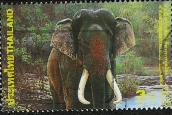 Thai Stamp Elephant - 1